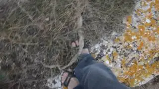 шкура змеи