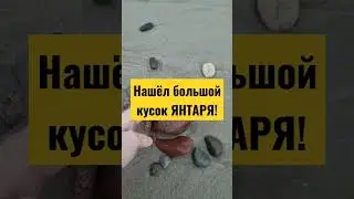 Нашёл большой кусок ЯНТАРЯ!