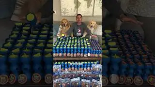 Donating 150 life protecting devices to service dogs in training!