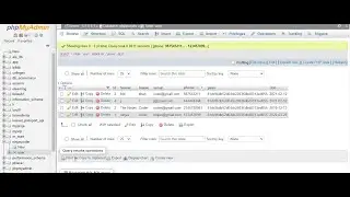 How to display data from Mysql database | Display data in html Table using Php | ✨