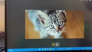 3 Easy Ways to Take a Screenshot on Laptop & PC | Complete Guide #screenshot  #windows