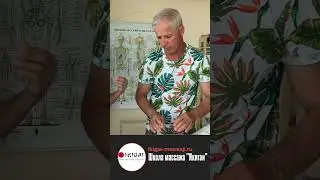 Ошибка массажиста - ТЕМП 