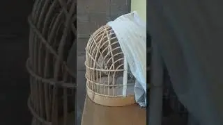 Кабки Кабодиён шикори 2000 сомонӣ тел: +992 90 010 9557