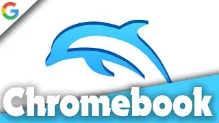 How To Install Dolphin Emulator On Chromebook | 2022 UPDATED