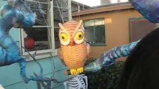 brown owl