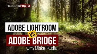 Adobe Lightroom vs Bridge?