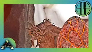 MENCURI TELUR WYVERN DAN WYVERN MILK - MAIN ARK RAGANAROK INDONESIA 