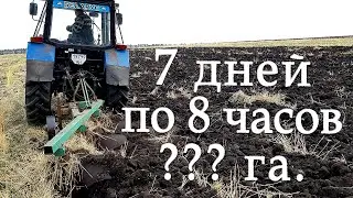 На что способен МТЗ ⁉️ Пашу 7 дней по 8 часов↩️