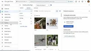 Practical AI 012a: Training an Image Classification Model with Vertex AI