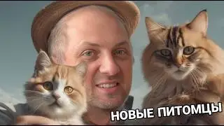 НОВЫЕ ДРУЗЬЯ КОКСИКА И ГАРАЖИКА | ЗУБАРЕВ | ЗУБАРЕВ В КИТАЕ