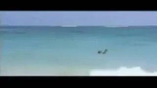 1:1
