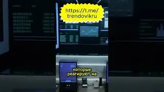 Как нейросети позволяют разбогатеть на криптовалютах