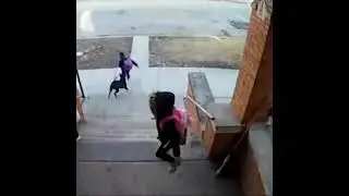МУЖЧИНА СПАС РЕБЁНКА, НА КОТОРОГО НАБРОСИЛАСЬ УЛИЧНАЯ СОБАКА / A man saved a child from a dog