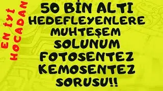 50 BİN ALTINA İNMEK İSTEYENLER İÇİN MUHTEŞEM SOLUNUM-FOTOSENTEZ SORUSU!! BU SINAV KAZANALICAKKK!!!