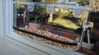 Product Review: Ermete Window Bird Feeder