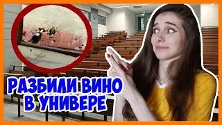 РАЗБИЛИ ВИНО ПЕРЕД ПРЕПОДОМ В УНИВЕРЕ / Смешные студенческие истории