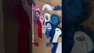 ХОББИХОРСИНГ ЗАПРЕЩАЮТ