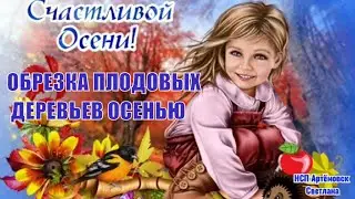 Обрезка деревьев осенью . Как обрезать деревья в саду . Когда  лучше обрезать плодовые деревья ?