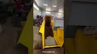Суперлиния в питомнике 