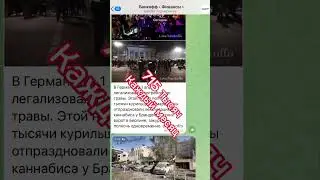 Кейс заработок в телеграмм на простом контенте. Как зарабатывают в телеграм?