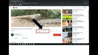 How to Hide Likes and Dislikes on YouTube