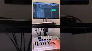 Avicii -Wake Me Up (#liveloop #logicpro #arturia #minilab)