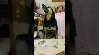 Я прочитаю для вас свои стихи🤗❤️