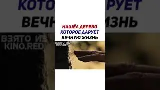 Нашел Дерево Которое Дарует Вечную Жизнь(Фильм-Фонтан  (2006))