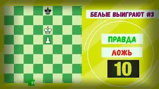 🤒 ТЕСТ / 10 вопросов \ ПРОВЕРЬ СЕБЯ / ПРАВДА или ЛОЖЬ. Для детей и начинающих