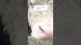 Спасибо за советы  