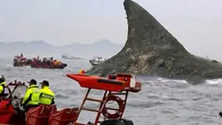 Si estos 30 Momentos en la Playa que no se Grabaron, Nadie lo Creería