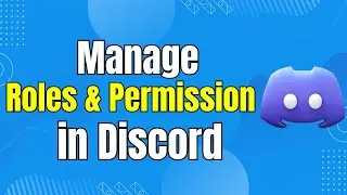 How to Manage Roles and Permission in Discord