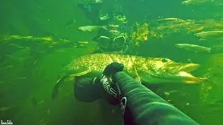 Подводная охота 