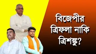 বিজেপীর সম্পদ নাকি আপদ