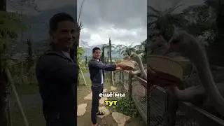 Экоферма на Бали