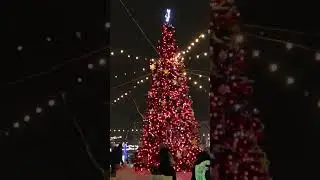 Оренбург площадь Ленина Новогодняя елка #оренбург #оренмама #буднимамы