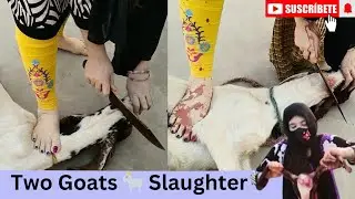 Two Goats slaughtered by Girl