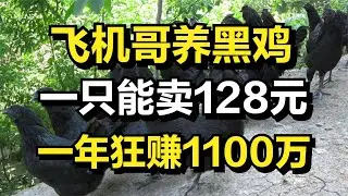 飞机哥养鸡化身飞鸡哥，一只鸡能卖128元，一年狂赚1100万元！