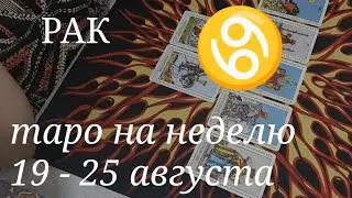РАК ТАРО расклад на неделю с 19 по 25 августа 2024 года.