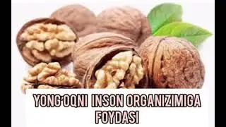 Yongʼoqni inson organizimiga foydasi