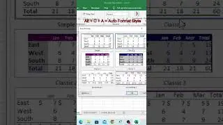 AutoFormat in Excel