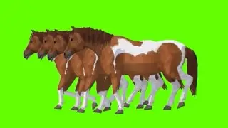 Horses Walking Green Screen Video | Green Screen Horse 