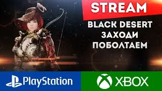 Внезапный стрим:) Заходи, отвечаю на вопросы  BLACK DESERT PS...