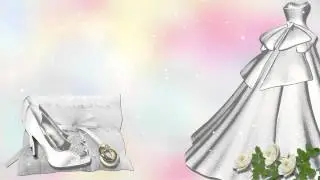 ФУТАЖИ БЕСПЛАТНО ФУТАЖ СВАДЕБНЫЙ 1
