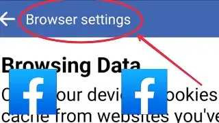 Facebook Browser Feature Settings