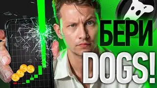 Будущее TON под вопросом? // Что ждать от DOGS: покупать или ждать ДАМП