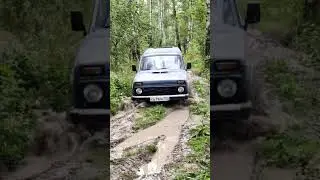 нива фора