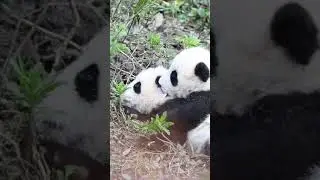 Вы там шепчетесь что ли?