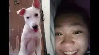 1 year POLAR (Aspin)