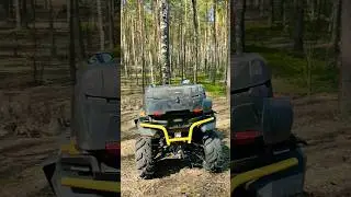 Зелень-мелень появляется! квадрик и эндуро в весеннем лесу 